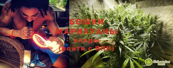 бошки Аркадак