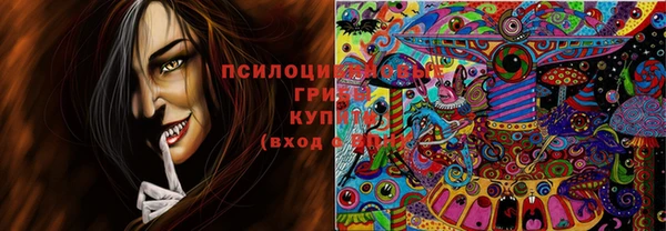 ешки Армянск