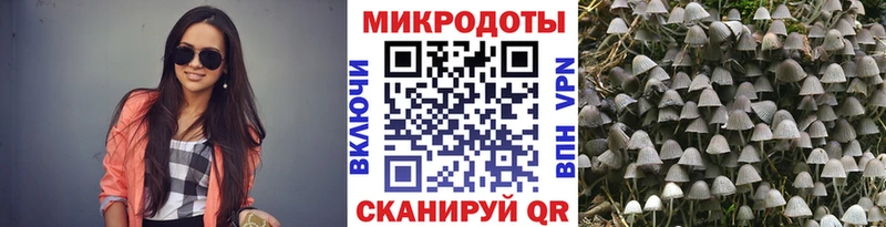 Псилоцибиновые грибы Magic Shrooms  Арск 
